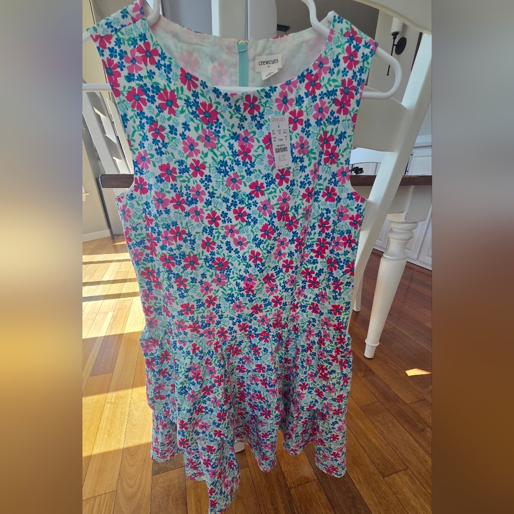 NWT Crewcuts Lined Pink and Blue Floral Dress With Ruffles